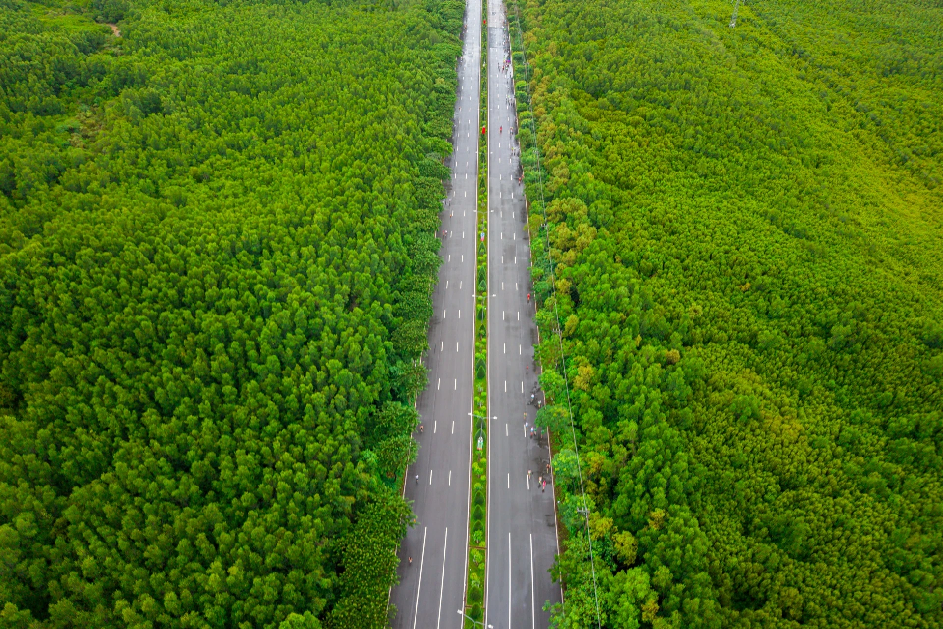 Các gia đình sẽ được khám phá cung đường xanh Rừng Sác nổi tiếng trên hành trình tới Cần Giờ.