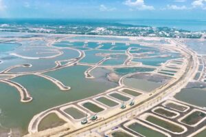 Cần Giờ là điểm sáng nổi trội của thị trường bất động sản TP.HCM