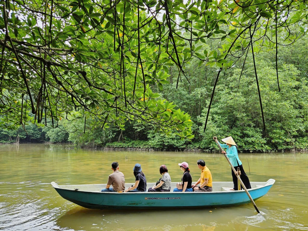 Du khách đi xuồng khám phá hệ sinh thái rừng ngập mặn tại Cần Giờ
