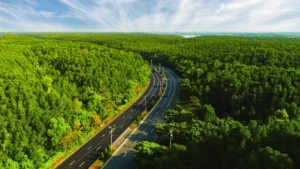 VnExpress Marathon Green Paradise Cần Giờ có đường chạy xanh nhất trong hệ thống VnExpress Marathon.