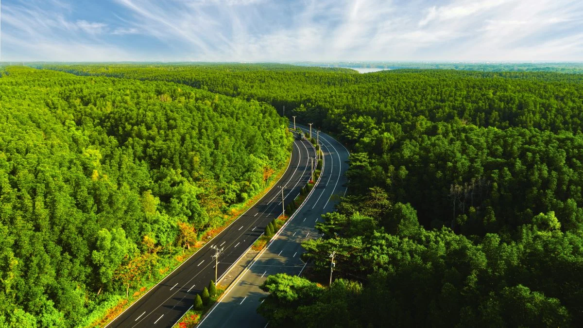 VnExpress Marathon Green Paradise Cần Giờ có đường chạy xanh nhất trong hệ thống VnExpress Marathon.