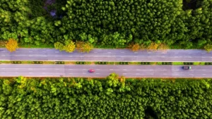 Cần Giờ mang đến cung đường chạy xanh nhất trong hệ thống giải Vnexpress Marathon