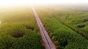 Cung đường chạy của VnExpress Marathon Green Paradise Cần Giờ trong lòng khu dự trữ sinh quyển thế giới được UNESCO công nhận