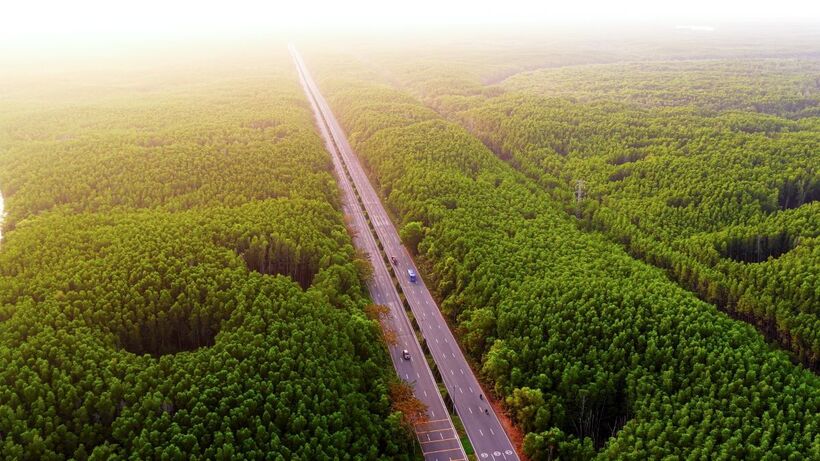 Cung đường chạy của VnExpress Marathon Green Paradise Cần Giờ trong lòng khu dự trữ sinh quyển thế giới được UNESCO công nhận