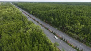 Đường Rừng Sác sẽ nằm trong cung đường VM Green Paradise Cần Giờ