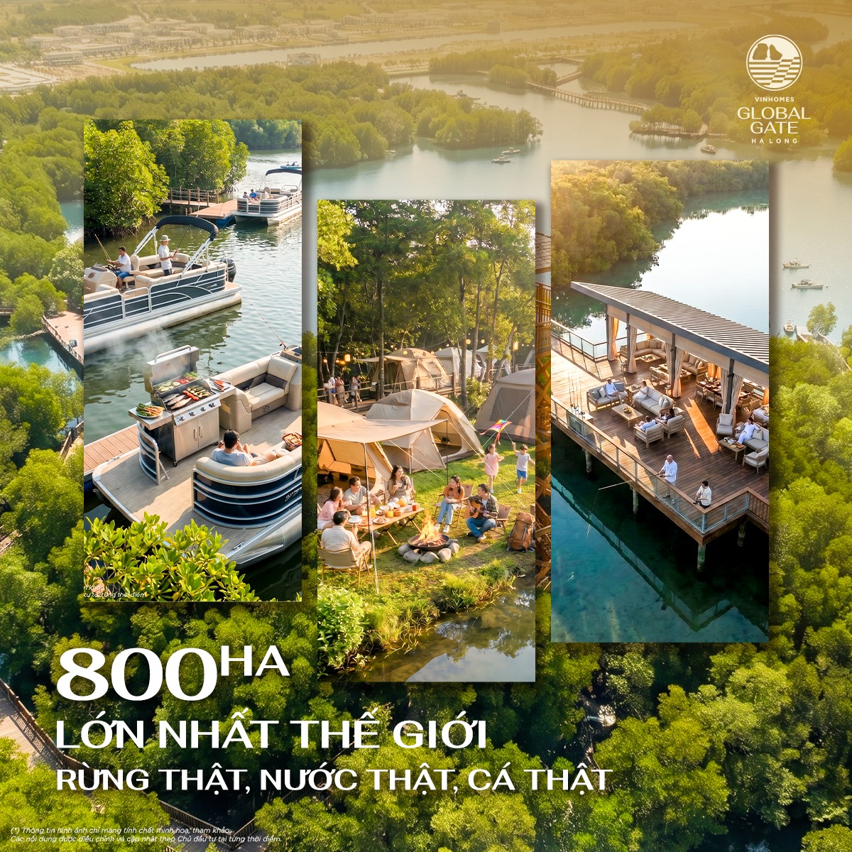 Công viên Wonder Mangrove - công viên câu cá rừng ngập mặn được giới thiệu có quy mô lên tới 800 ha, lớn nhất thế giới